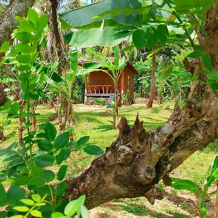 Milk House Cottage Удавалаве Экстерьер фото