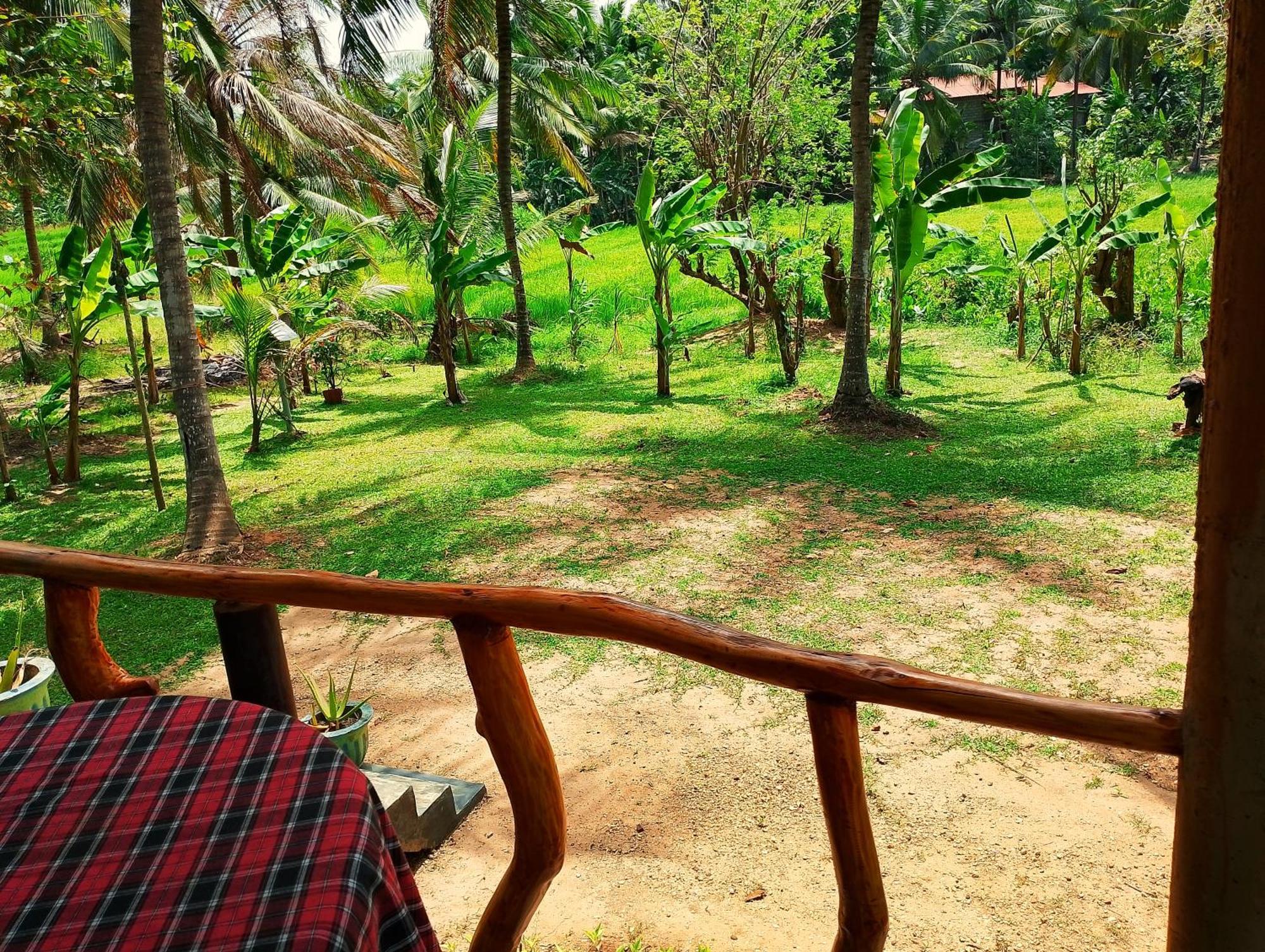 Milk House Cottage Удавалаве Экстерьер фото