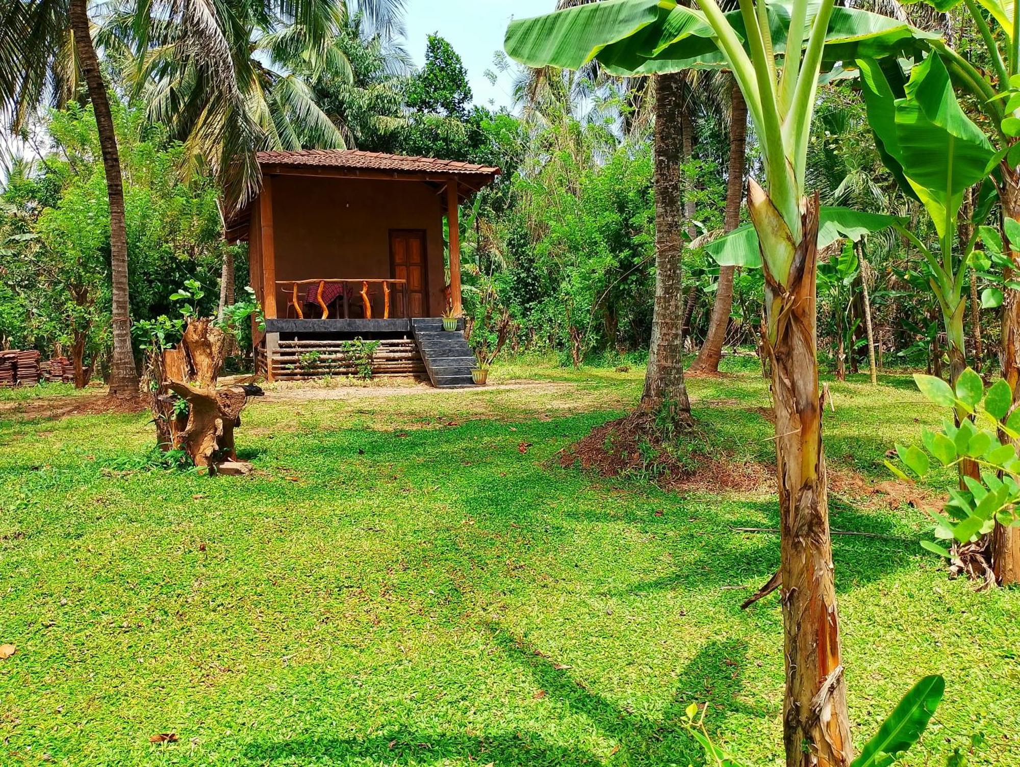 Milk House Cottage Удавалаве Экстерьер фото