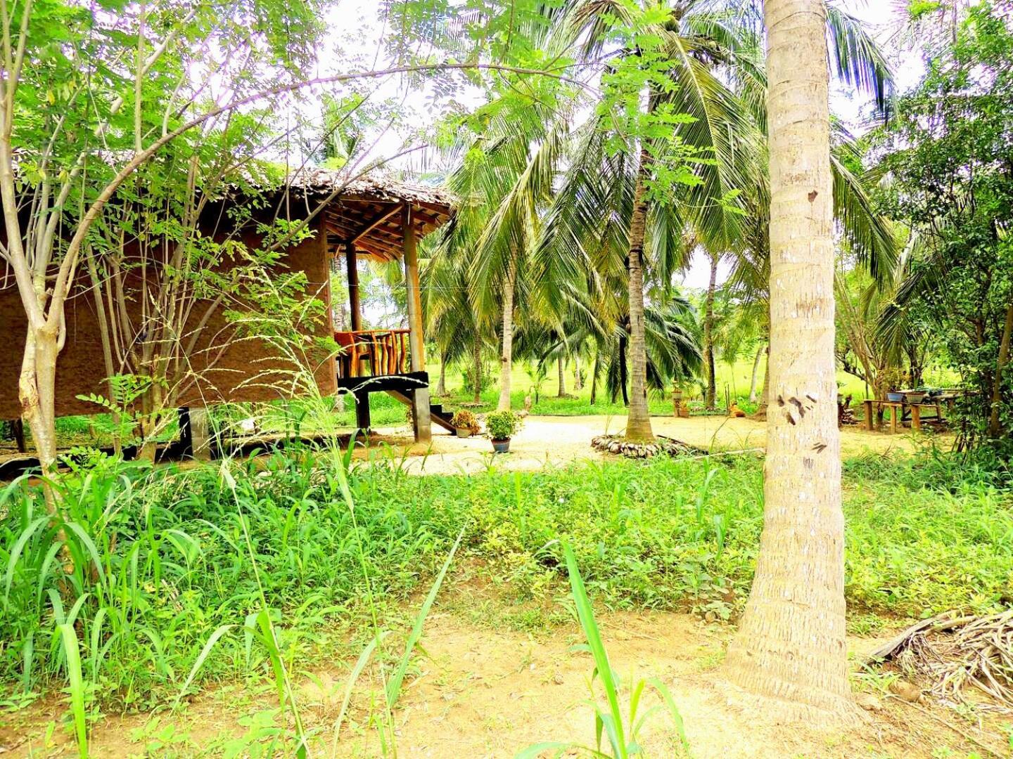 Milk House Cottage Удавалаве Экстерьер фото