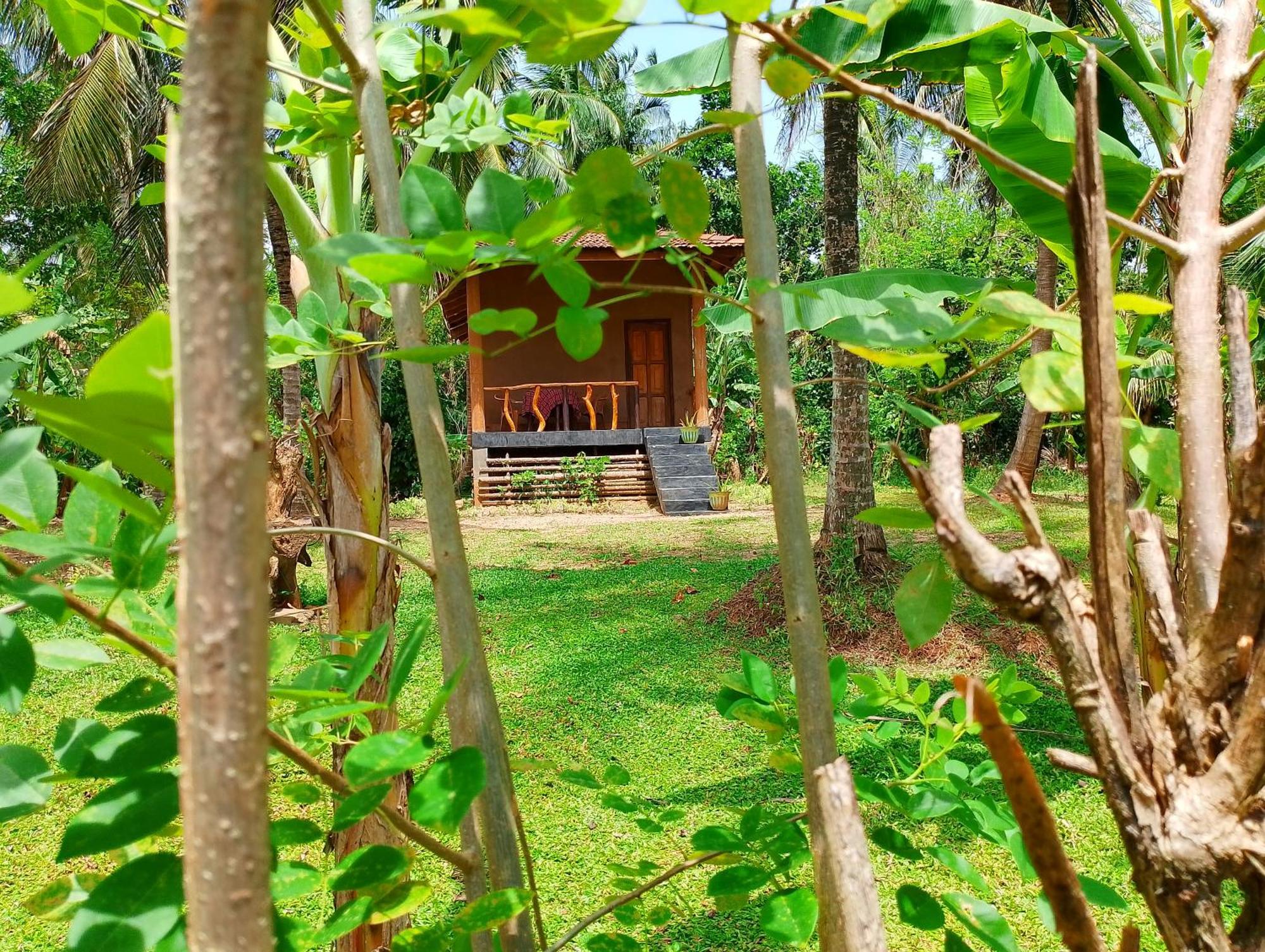 Milk House Cottage Удавалаве Номер фото